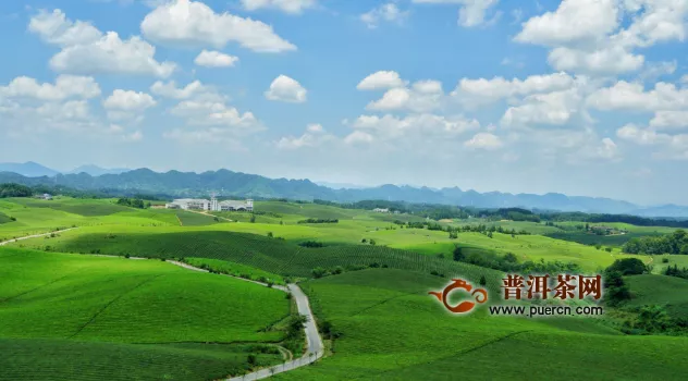 远安：为黄茶产业发展提供气象数据支撑