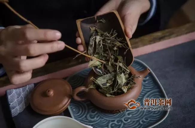 福鼎白茶餅梗