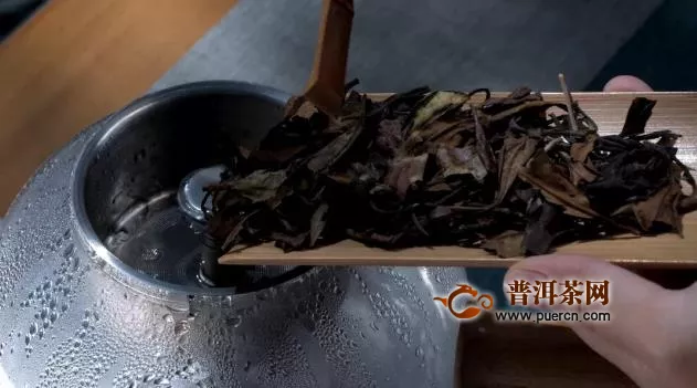 泡福建白茶的正确方法，茶饼、散茶泡法不同！