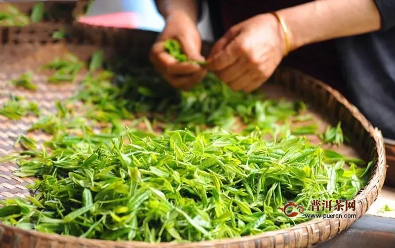 2020春茶生产“六项”建议措施抗击疫情！