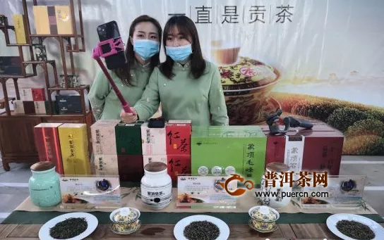 名山：“春茶开市”品鉴 极品“蒙顶山茶”卖到每斤2.8万元