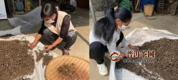 云南这个村的茶农捐赠千斤茶叶 致敬昆明热血“战士”