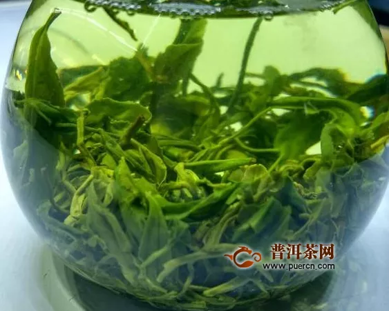 蒙顶甘露什么牌子