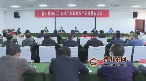 普定县召开2020年农村产业革命茶产业发展座谈会