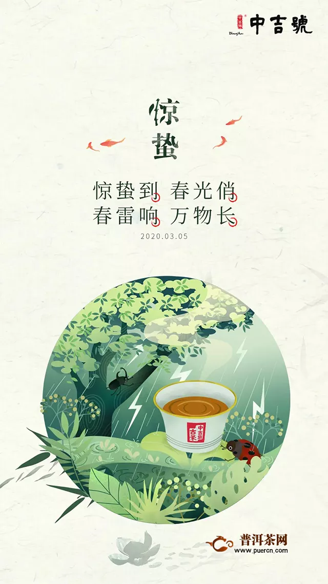 驚蟄日，中吉茶學(xué)堂吉妹說茶直播預(yù)告