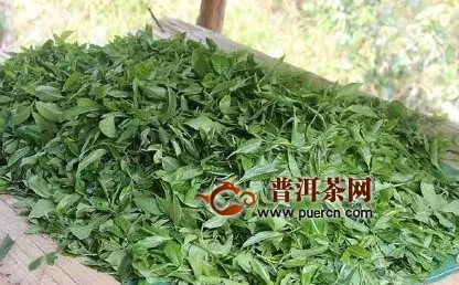 信阳平桥区：茶产业复工复产蓄势待发