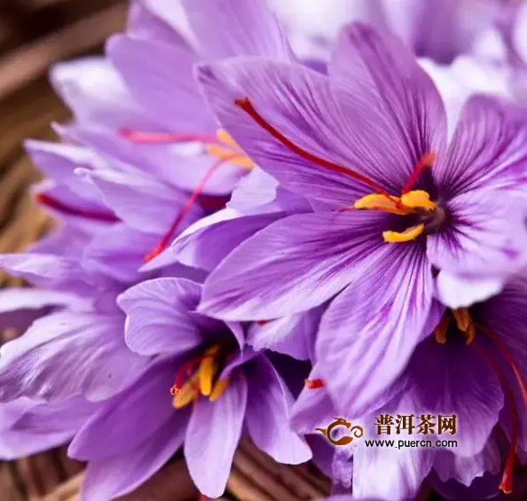 藏紅花泡茶的功效