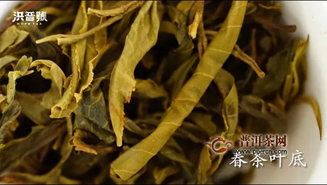 洪普號茶山味道第32期：年有四季，茶有春夏秋冬！