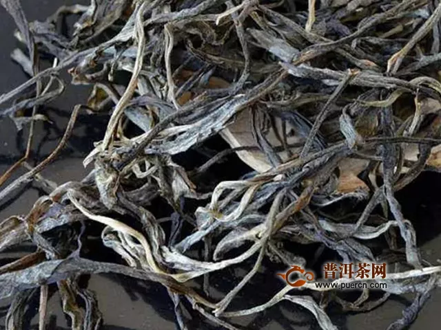 吉普号茶山黑话竹梁子&刮风寨，哪座茶山更能代表“原始森林的味道”？
