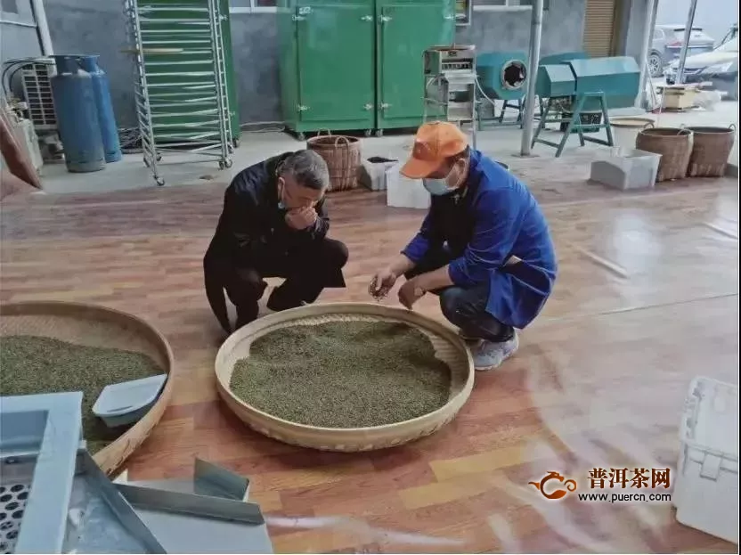 泰顺泗溪镇疫情防控抓精准 复工复产春茶再提速！