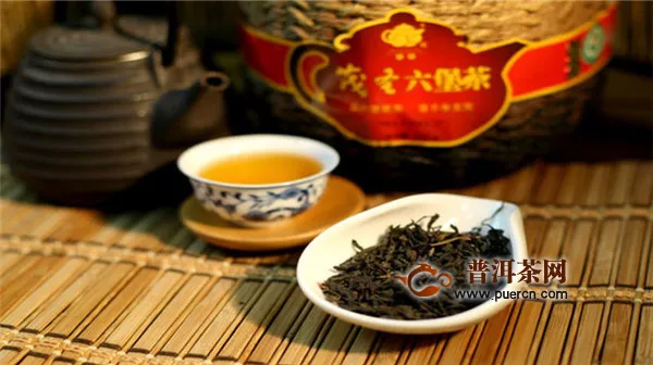 普洱茶、安化黑茶、六堡茶都叫黑茶，它们的区别是什么？