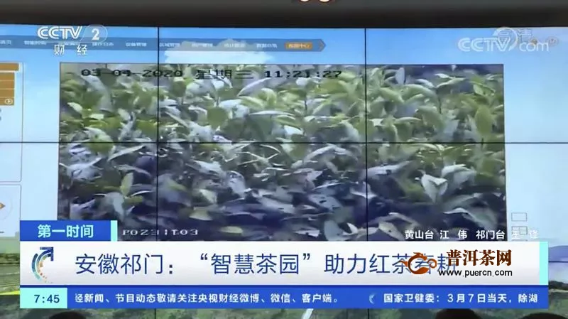CCTV-2《经济信息联播》：天之红智慧茶园，科技助力春耕生产！