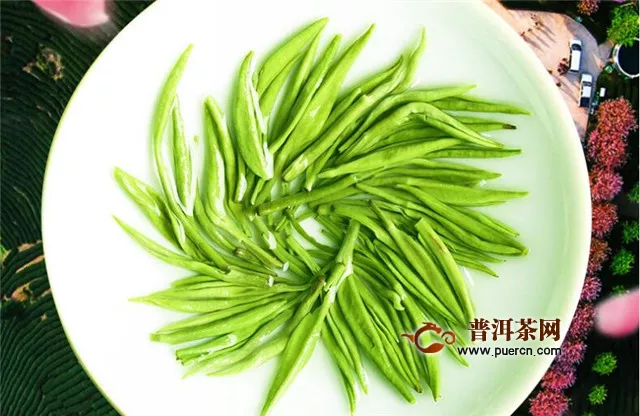 明前綠茶采摘時間：清明節(jié)前采制