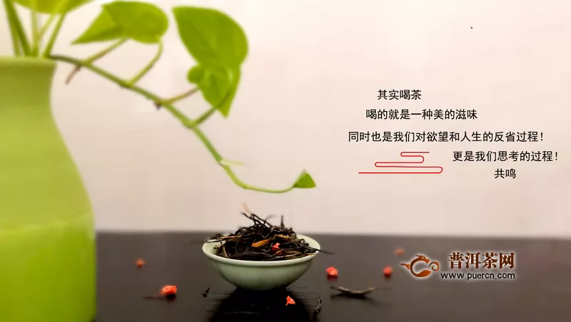 怎么喝都不膩的紅茶必備品：2018年蒲門滇紅1號紅茶