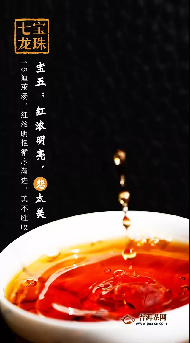 普秀产品回顾⑨七宝龙珠：10年陈韵！茶气，人气，江湖气，一气“喝”成！