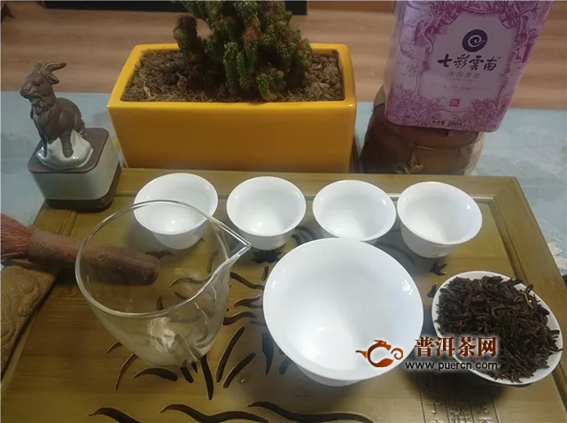 2019年七彩云南名門普洱(玫瑰花)：香氣逼人，更適合女性朋友的好茶