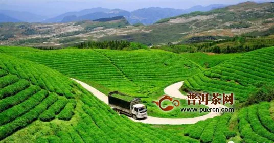 赤壁58家茶叶企业开工 200吨青砖茶运往内蒙古