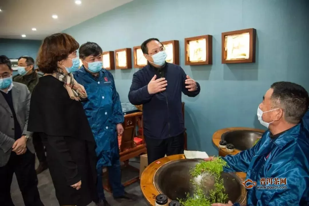 杭州市副市长王宏一行调研西湖龙井茶开采情况