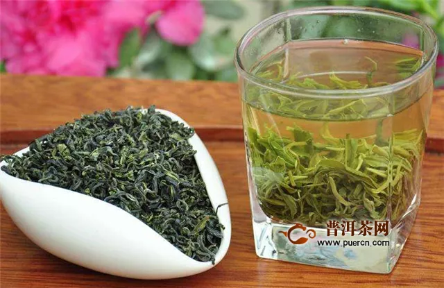 崂山茶叶属于绿茶吗