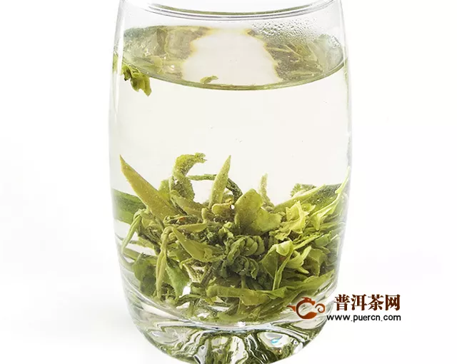 雷山银球茶属于绿茶吗