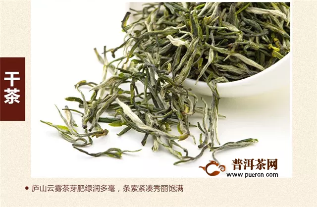 连云港云雾茶属于绿茶吗