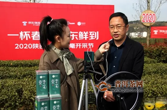 汉中仙毫春茶开采上市 媒体+电商+直播助力销售