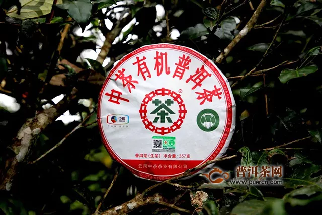 中茶云南公司荣获2019年昆明市绿色食品“10强企业”称号