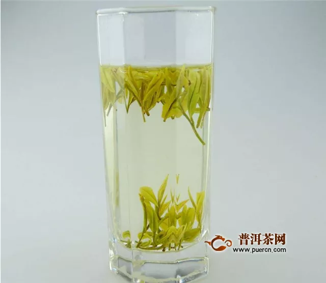 湘西黄金茶属于绿茶吗