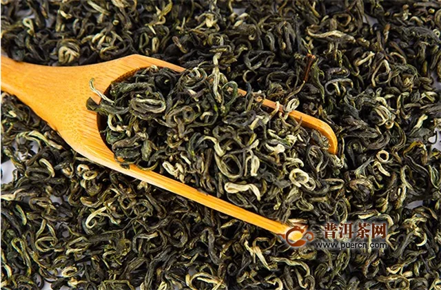 都匀毛尖茶属于绿茶吗