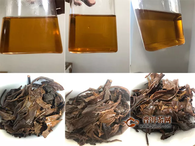 2019年勐海本木古茶業(yè)古小白美人珠白茶：不尋常的白茶感受