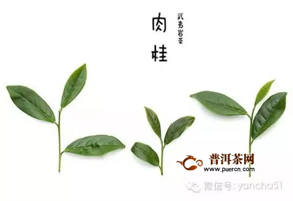 武夷岩茶茶名命名方法