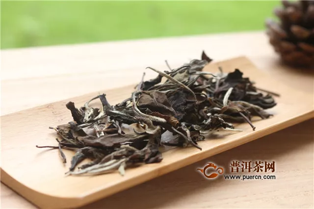 福鼎白茶壽眉是綠茶