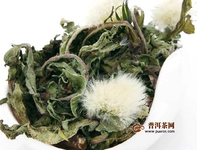 喝蒲公英茶會(huì)上火嗎