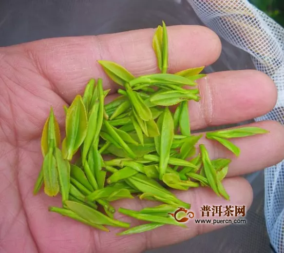 南京名片“雨花茶”开采头茶