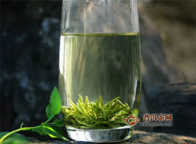 绿茶玻璃杯泡茶流程