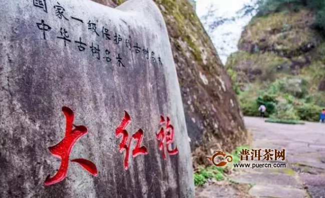 中国最贵的树——福建武夷山的母树大红袍