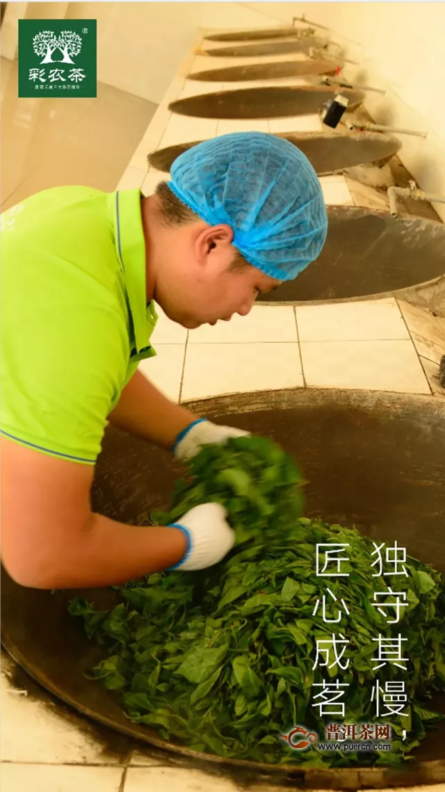 彩农茶：十余年专注，成就经典勐海小饼