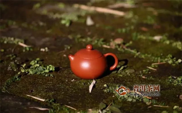 西施紫砂壶适用啥茶？红茶