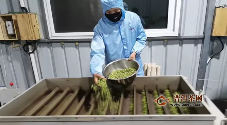 康县加强茶叶生产企业产品质量安全监管