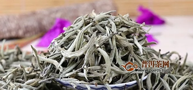 福鼎白茶属于乌龙茶还是白茶
