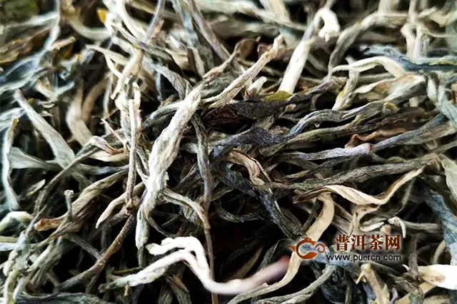 兴海茶：普洱茶山那么多，为何称王就一座？