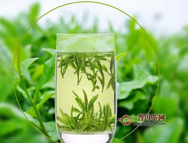 喝绿茶有什么好处吗？绿茶能从10个方面帮助你