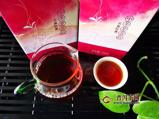 2019年中茶普洱中茶紫茗紅：一杯紅茶暖心暖胃