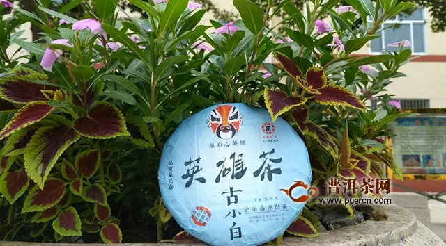 2019年古小白英雄茶：醇厚香甜，英雄來兮，滿滿幸福開湯而化及