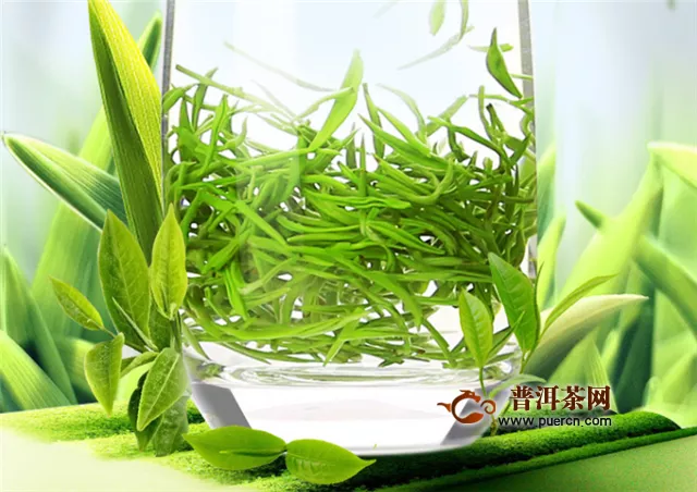 台湾乌龙茶属于红茶还是绿茶