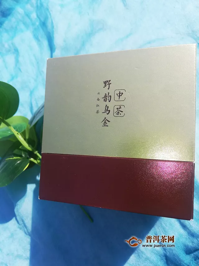 2019年中茶野韻烏金：雖是葉落霜飛降，幸有紅茶美人來