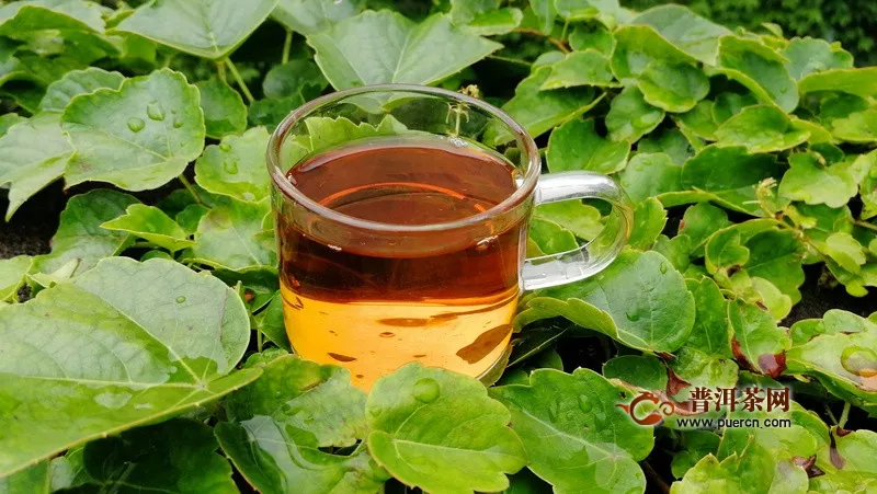 红茶的泡法:泡红茶水温多少度合适