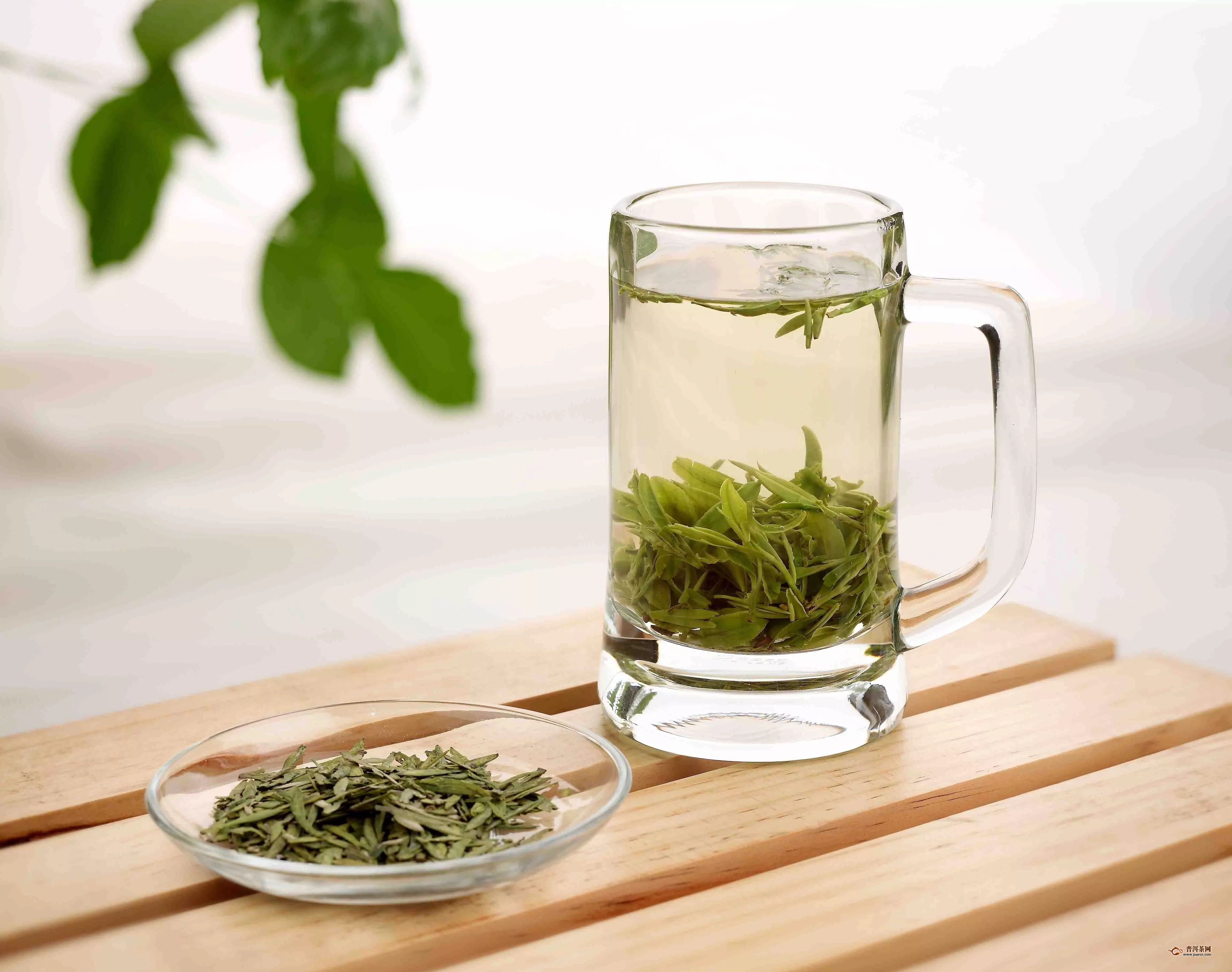 绿茶可以解酒吗？