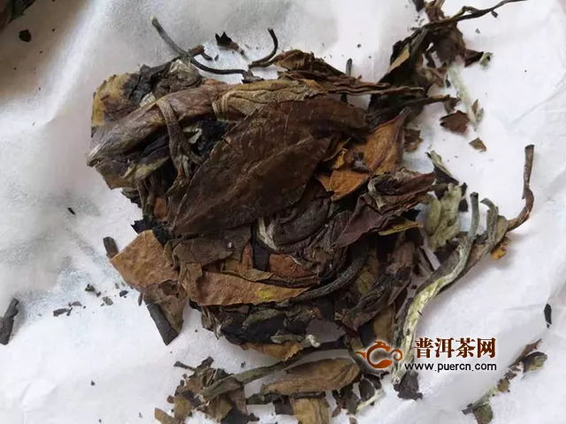 2019年古小白美人茶白茶：恰如东方的舞蹈 （柔美）