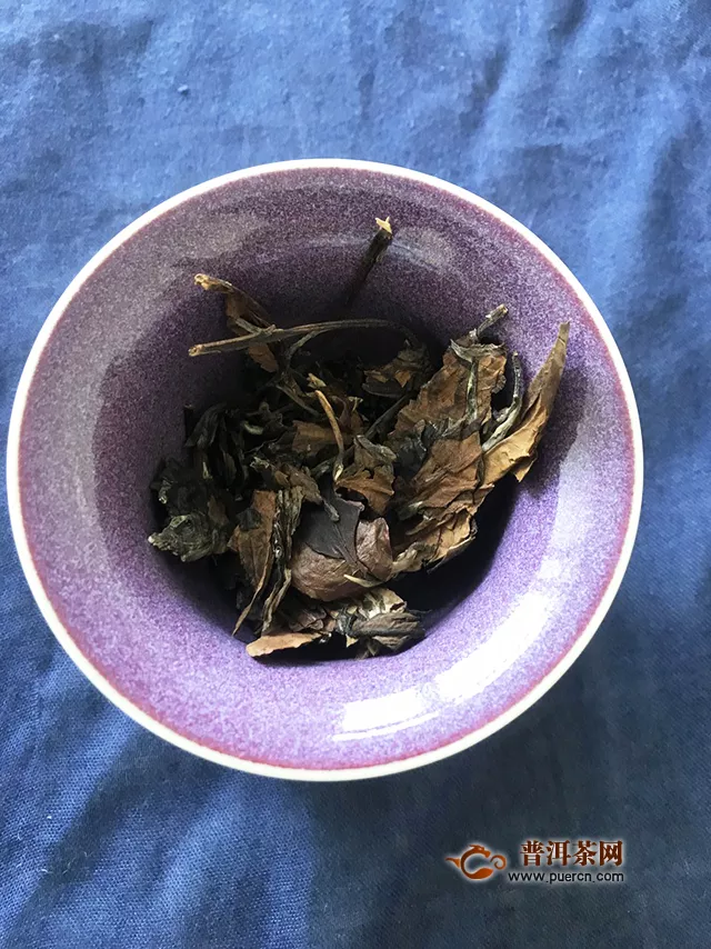 2019年勐海本木古茶葉古小白美人茶：敬世界美好